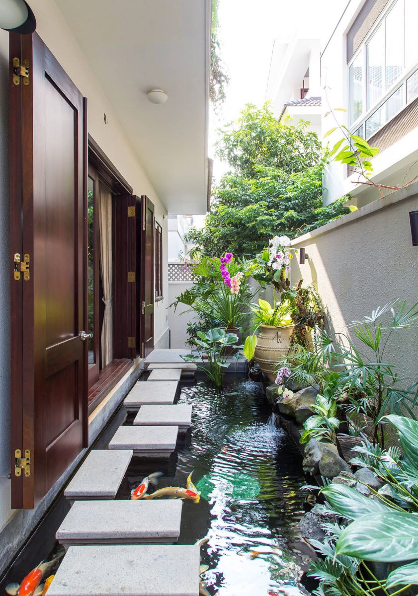Mẫu hồ koi sân vườn nhà phố đẹp